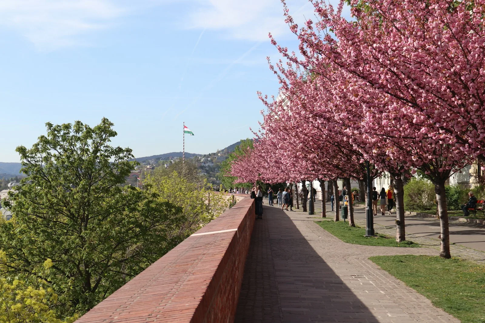 Springtime walkway and greenery on Margaret Island in Budapest